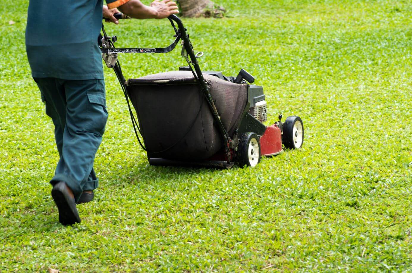 Lawn Mowing Frankston | Professional Lawn Mowing Services